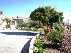 Área da propriedade