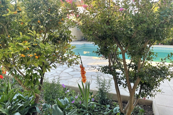 la piscine fleurie