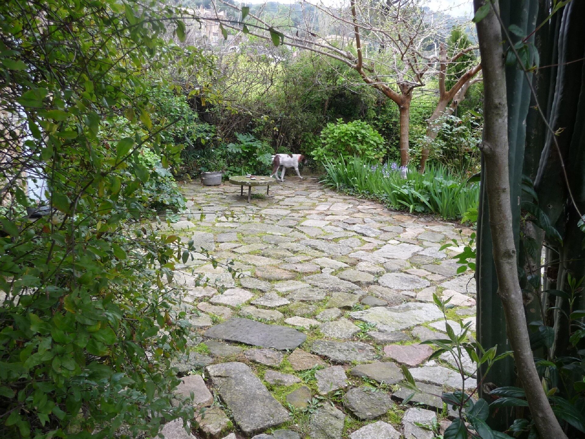 Ein gärtchen mit Pflastersteinen, einem rustikalen Tisch und einem Hund.