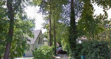 Villa with large capacity of reception possible departure in the afternoon