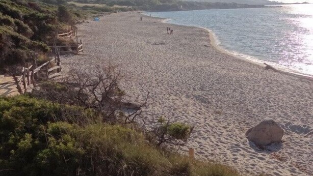 Ein Strand mit einer Holzzaun, Felsen und freiem Blick auf das Meer.