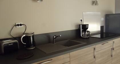 cottage "straw of yesteryear" 4 to 5 people near the PUY DU FOU in St Prouant