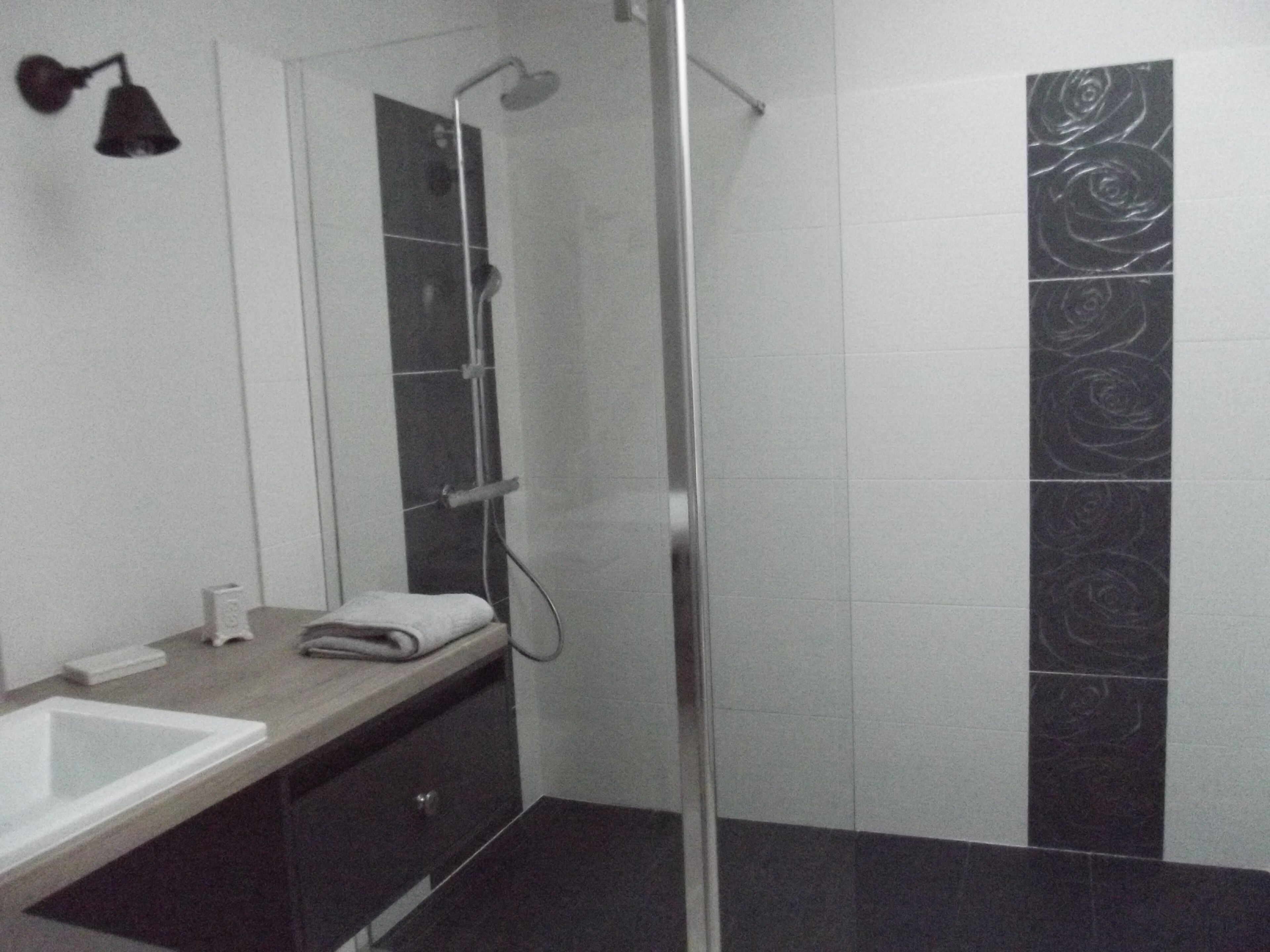 Douche, sèche-cheveux