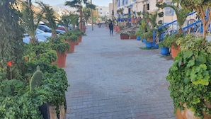Ein gepflasterter Weg, gesäumt von Kübelpflanzen und mit einem blauen Geländer.