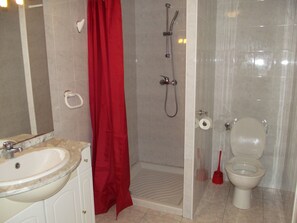 Bathtub, hair dryer, bidet, towels