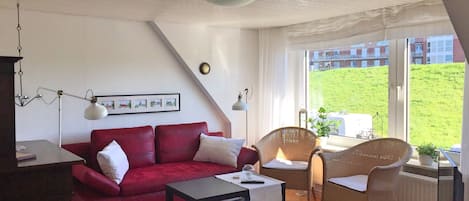 TV, lettore DVD, libri, impianto stereo