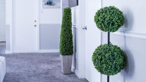Uklassifisert bilde, 2 av 34, knapp
