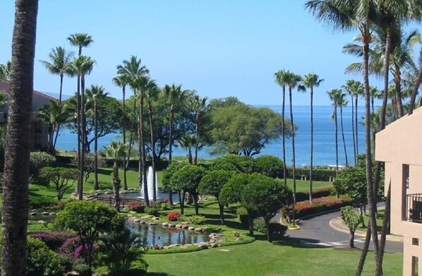 Property grounds - Remodeled,Ground Level, A/C Throughout,King Bed,Everything Needed for Kids/Beach (Kihei)