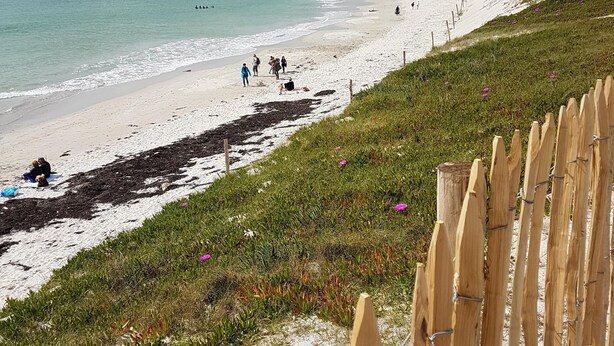 A beach with a sandy shore, a grassy area with a wooden fence, and a clear sky. - Little corner of paradise 2 steps from the sea. Walled garden. Wireless (Loctudy)