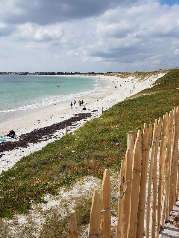 On the beach, sun loungers, beach towels - Little corner of paradise 2 steps from the sea. Walled garden. Wireless (Loctudy)