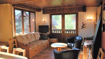 Télévision, cheminée, lecteur de DVD, livres