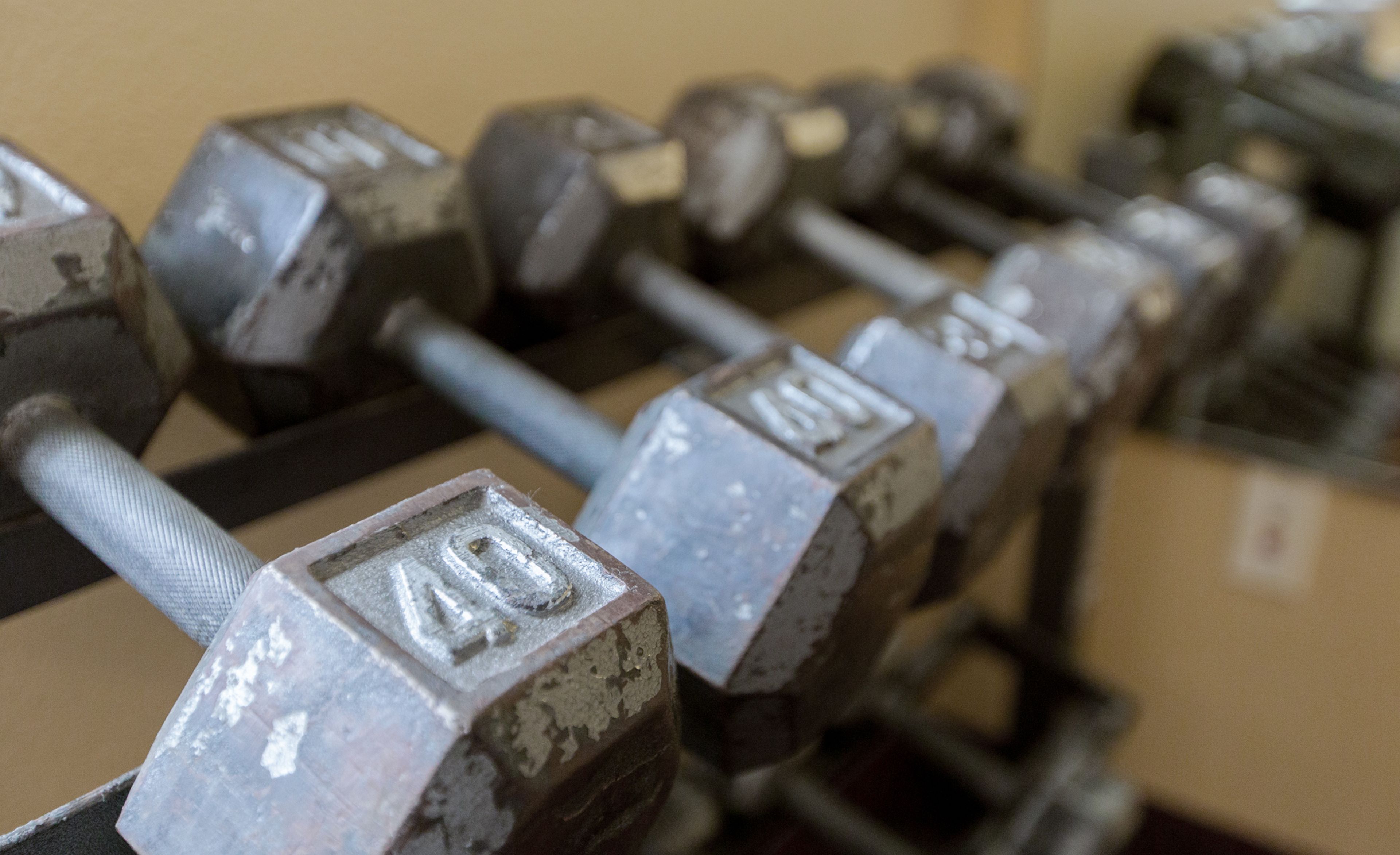A row of vintage dumbbells with visible weight markings.