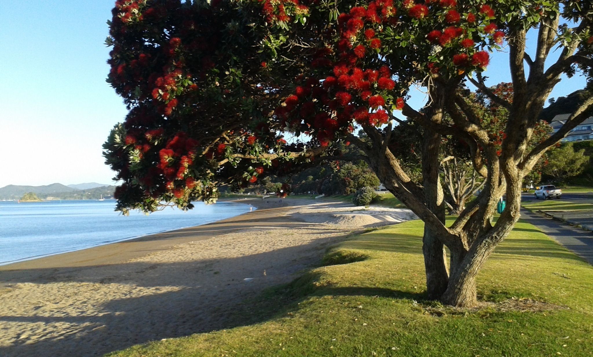 Une plage avec un arbre au premier plan et une vue dégagée sur la mer et les collines lointaines.