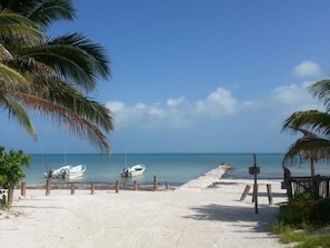Una spiaggia con un sentiero sabbioso che conduce all'acqua, palme e una barca ormeggiata vicino alla riva.