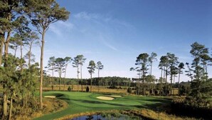 Un campo da golf con uno stagno, alberi e cielo sereno.