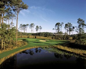A golf course with a pond, trees, and a clear sky.