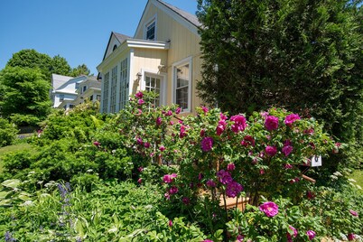 Heart of Lenox Walk to Town Cozy Cottage!