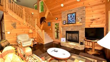 TV, fireplace, DVD player, books