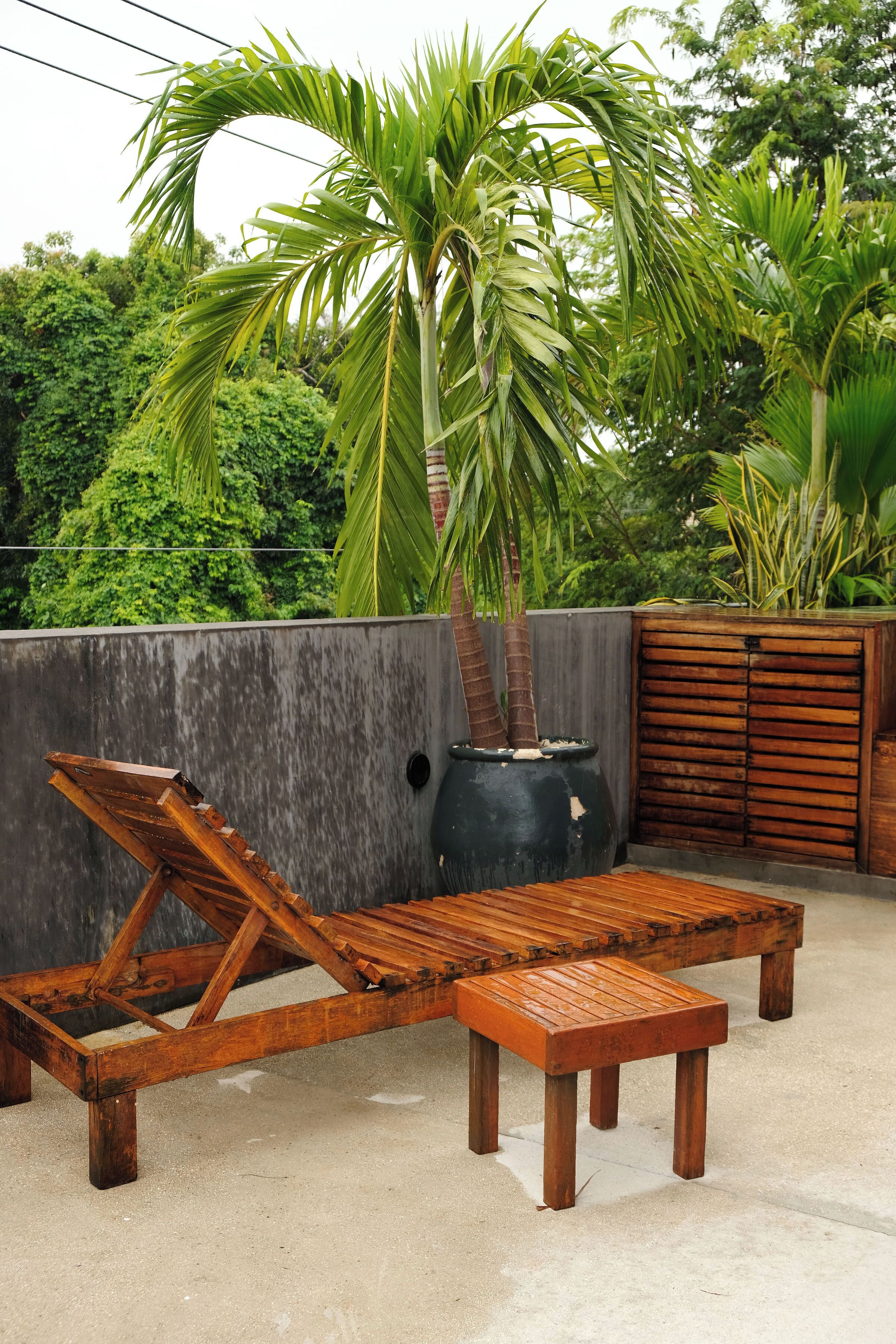 Un juego de sillón y reposapiés de madera sobre piso de concreto, con una palmera grande en maceta al fondo.
