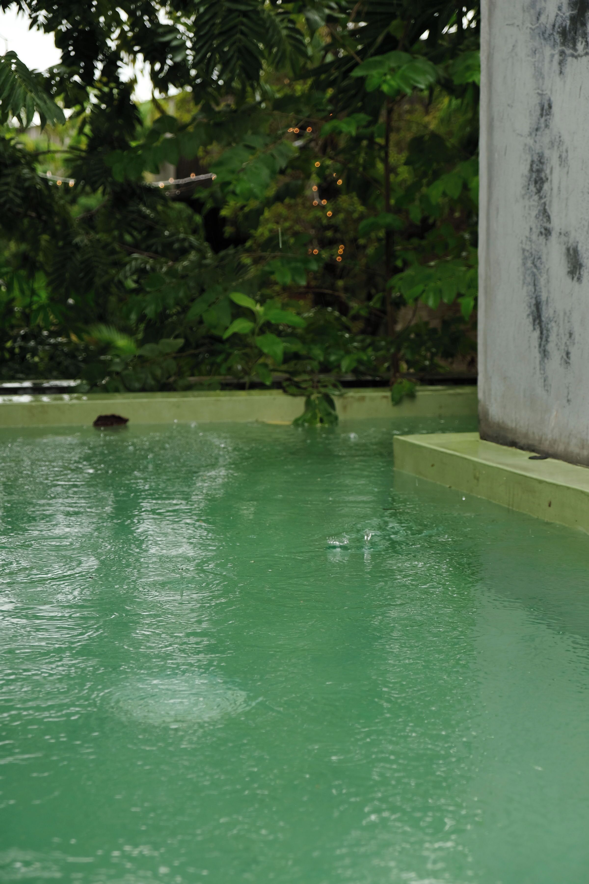 Photo - Turquoise Tulum Hotel