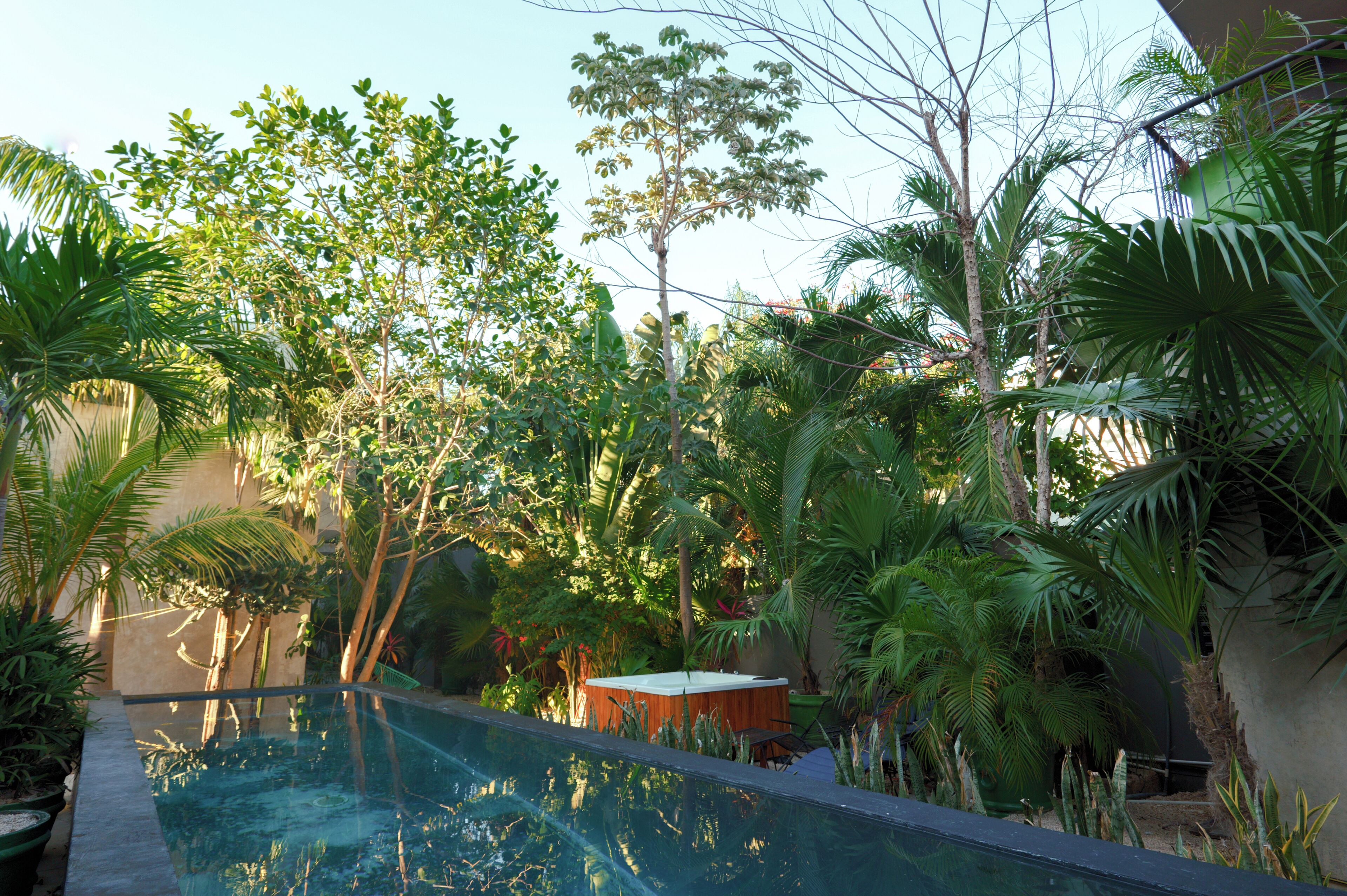 A swimming pool surrounded by lush greenery and a hot tub.