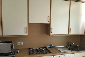Modern kitchen with Bosch gas stove, dishwasher, and stainless steel sink.