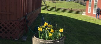 The Garden Suite has beautiful views of forests and pastures! It is dog friendly