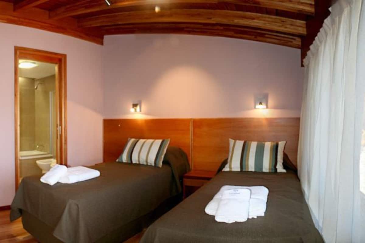 A room with two beds, wooden headboards, a radiator, and a mirror.