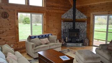 Smart TV, fireplace, books, video library