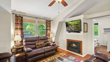 TV connectée, cheminée, lecteur de DVD, livres