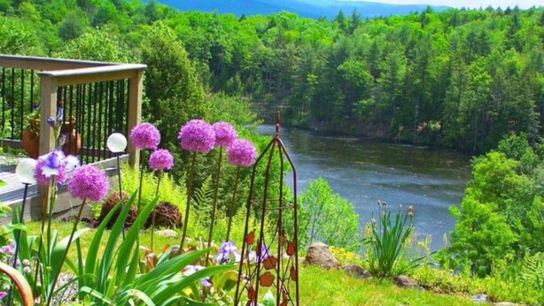 A garden with purple flowers and a river in the background.