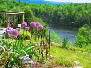 A garden with purple flowers and a river in the background.