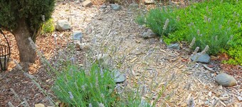 Wine Country In-law Unit with Patio