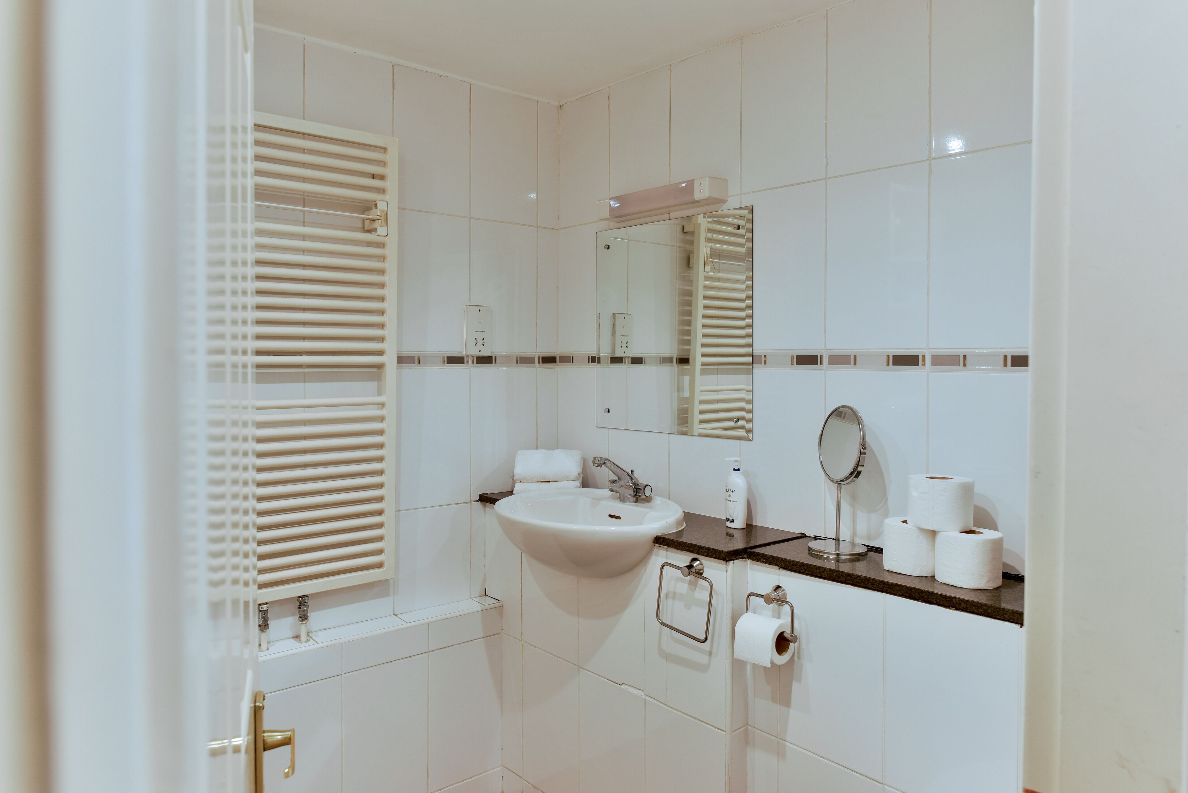 A bathroom with a sink, mirror, toilet paper, and a towel rack.