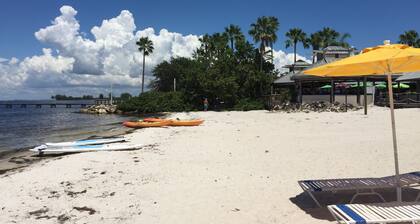 Beach Resort Little Harbor-Tampa, FL