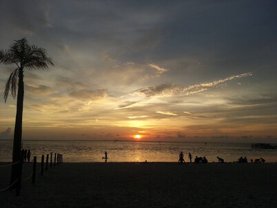 Beach Resort Little Harbor-Tampa, FL