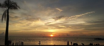 Beach Resort Little Harbor-Tampa, FL