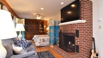 Smart TV, chimenea, reproductor de DVD, libros