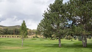 A golf course with a well-maintained green, several trees, and a hilly landscape in the background. - 2 BR Condo with 2 Fishing Badges! 24 Mi. to Aspen (Carbondale)