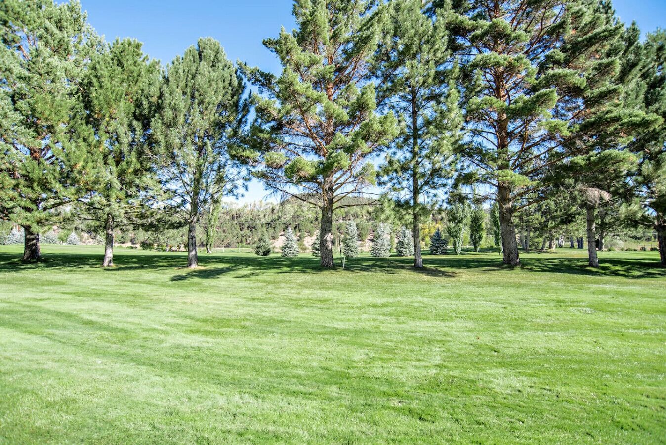 A well-maintained grassy area with several tall trees, likely a park or garden setting.