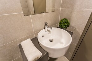 Shower, hair dryer, bidet, towels