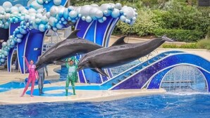 En delfinshow där artister i kostymer interagerar med delfinerna i en pool.
