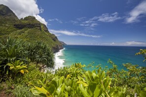 A coastal landscape with lush greenery and a clear view of the ocean.
