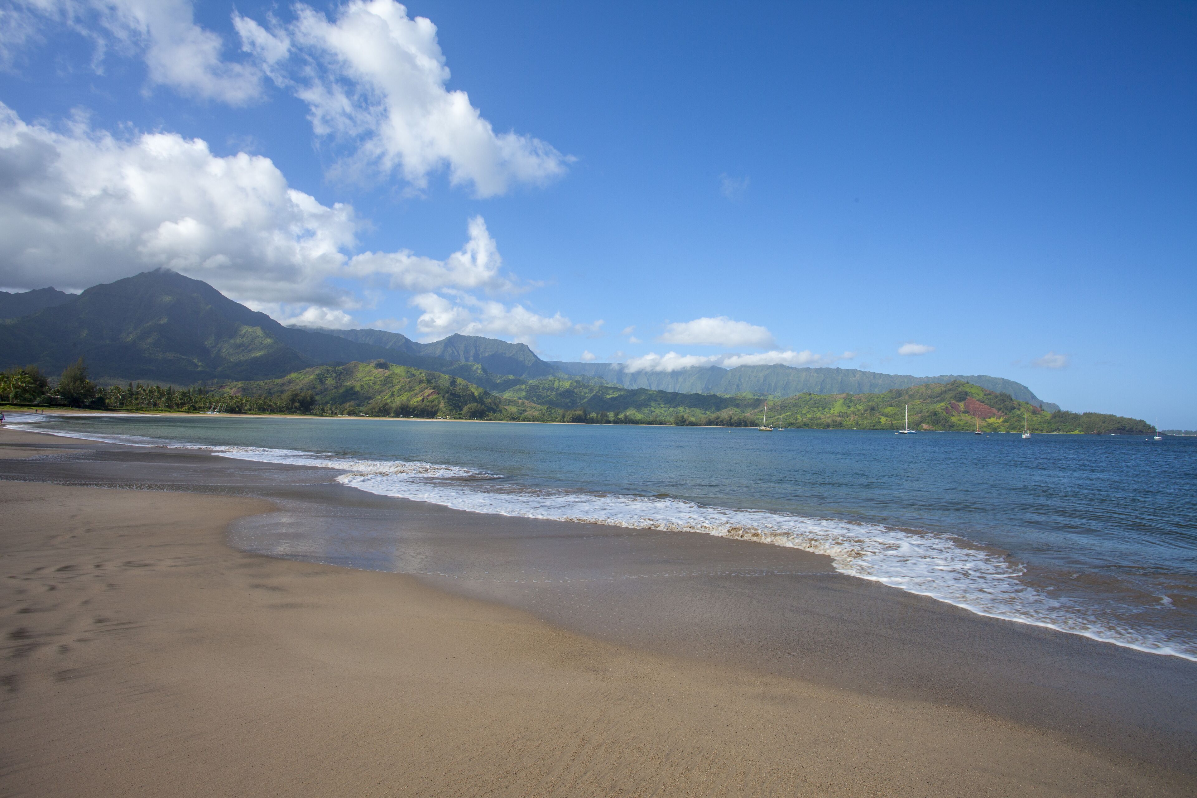 A beach with a mountain range in the background.