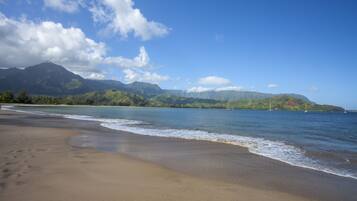 A beach with a mountain range in the background.