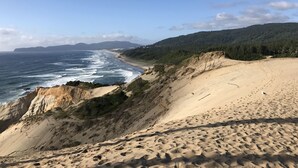 Paisagem costeira com praia arenosa, ondas do oceano e encosta arborizada.