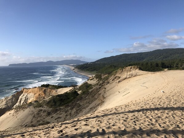 A coastal landscape with a sandy beach, ocean waves, and a forested hillside.