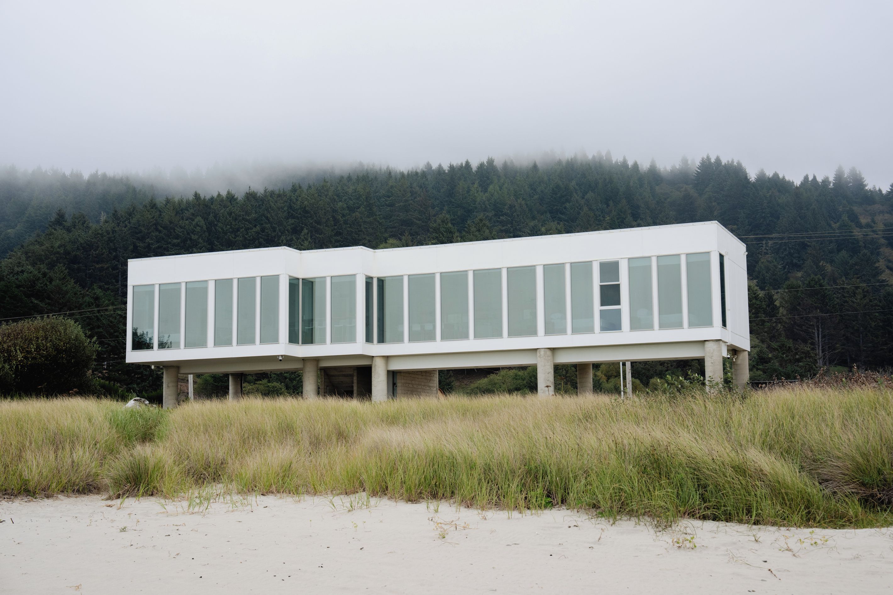 A modern, white, two-story building with large glass windows, situated on stilts in a grassy area with a forested hill in the background.