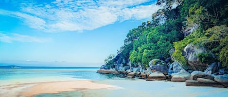 Plage à proximité