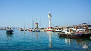 Una marina con diversi tipi di imbarcazioni ormeggiate, tra cui vele e gommoni.